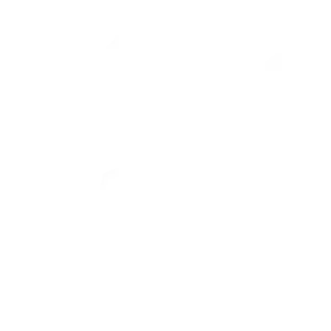 Awards And Raffle Ceremony icon