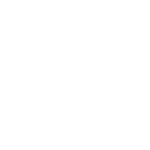 Expert led keynotes icon
