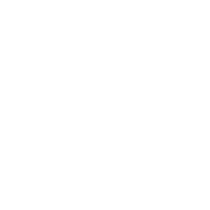 Parking icon