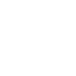 Strategic Networking icon