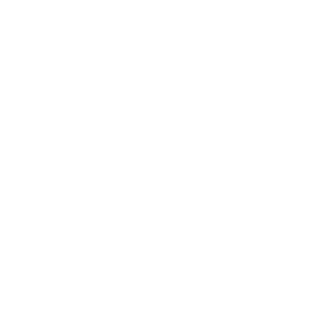 lunch icon