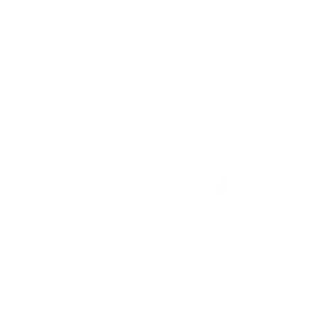 player cart icon