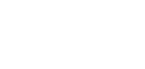 concentric ai